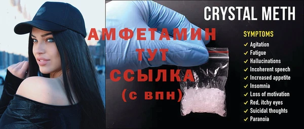 прущие грибы Баксан