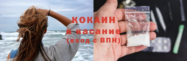 прущие грибы Баксан