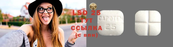 прущие грибы Баксан