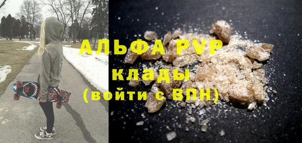 прущие грибы Баксан