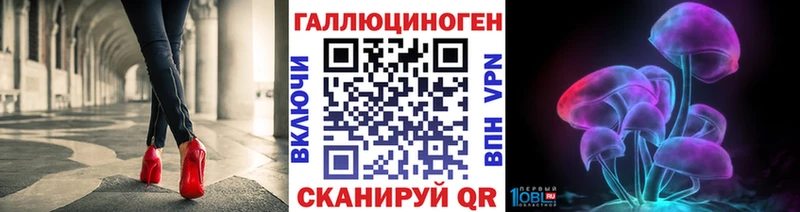 Галлюциногенные грибы Psilocybe  Мезень 